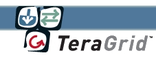Teragrid Logo